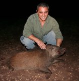 Alexandre Fillipini and a peccary (click for larger version)