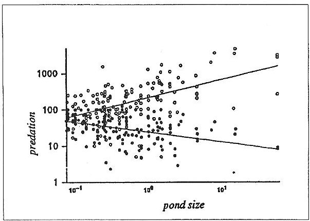 Scatter plot showing that the larger the pond, the more predation but the smaller the proportion of fish eaten compared to the whole