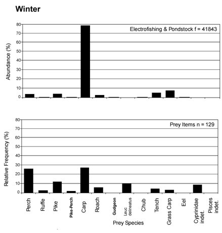 Graphs showing the abundance of different prey items in the environment in Winter, and the frequency with which they are found in spraint.  Carp is most abundant in the habitat, but Perch are equally common in spraint.  Click for larger version.