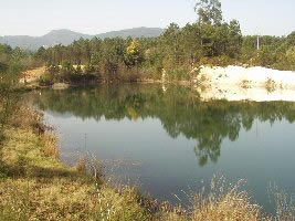 A clay pit lake showing vegetated banks.  Click for larger version.