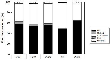 Chart showing diet composition between 2004 and 2008.  Fish and crustaceans form most of the diet in fairly contant proportions with tiny amounts of other foodstuffs 