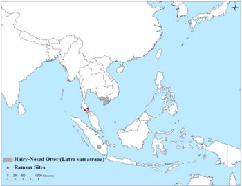 Map of southeast Asia showing tiny disconnected areas of occupation by this species in south Sumatra, Thailand, south Cambodia and south Vietnam.  There are two Ramsar sites near the Thailand area. Click for larger version.