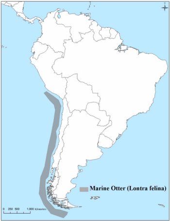 Map of South America showing the distribution of the Marine Otter along the rocky coasts of Peru and Chile; there are no Ramsar sites in the distribution.  Click for larger version