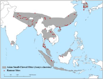 Map of southeast Asia  showing otter distrbution from Bhutan across the north of India into south China, a separated population in the Mekong basin down through Thailand to Malaysia, Sumatra, Java and northern Borneo, and a disparate outlier in southern India; Ramsar sites are sparsely scattered across this region.  Click for larger version.
