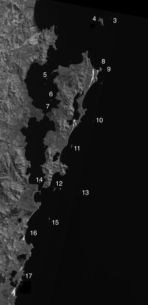 Monochrome satellite image of Santa Caterina Island, the lake, the lagoon and the mainland, showing islands 3 to 17 in Table 1.  Click for larger image