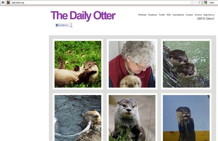 Screenshot from the Daily Otter