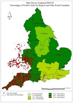 Map of England and Wales showing many RTA casualties in Wales and the southwest of England, and many more than the previous study showed in England in Dorset/Hampshire and the Severn-Trent catchment.  Click for larger version.