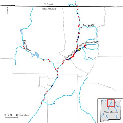 Map showing position of study area in north central New Mexico adjoining the border with Colorado. The Rio Grande is shown along with its tributaries, the Rio Chama from the west, Rio Pueblo de Taos from the east, and the Red River also from the east but further north.  The gold star marking the initial release site is near the confluence of the Rio Pueblo de Taos and the Rio Grande. Blue dots for otter sign are mainly shown on the Rop Grande itself with a few eastward of the release site on the Rio Pueblo de Taos.  Red dots for otter sightings are along the Rio Grande, a few clustered eastward on the Rio Pueblo de Taos, one on the Red River near its confluence with  the Rio Grande, and several along the length of the Rio Chama.  Click for larger version.