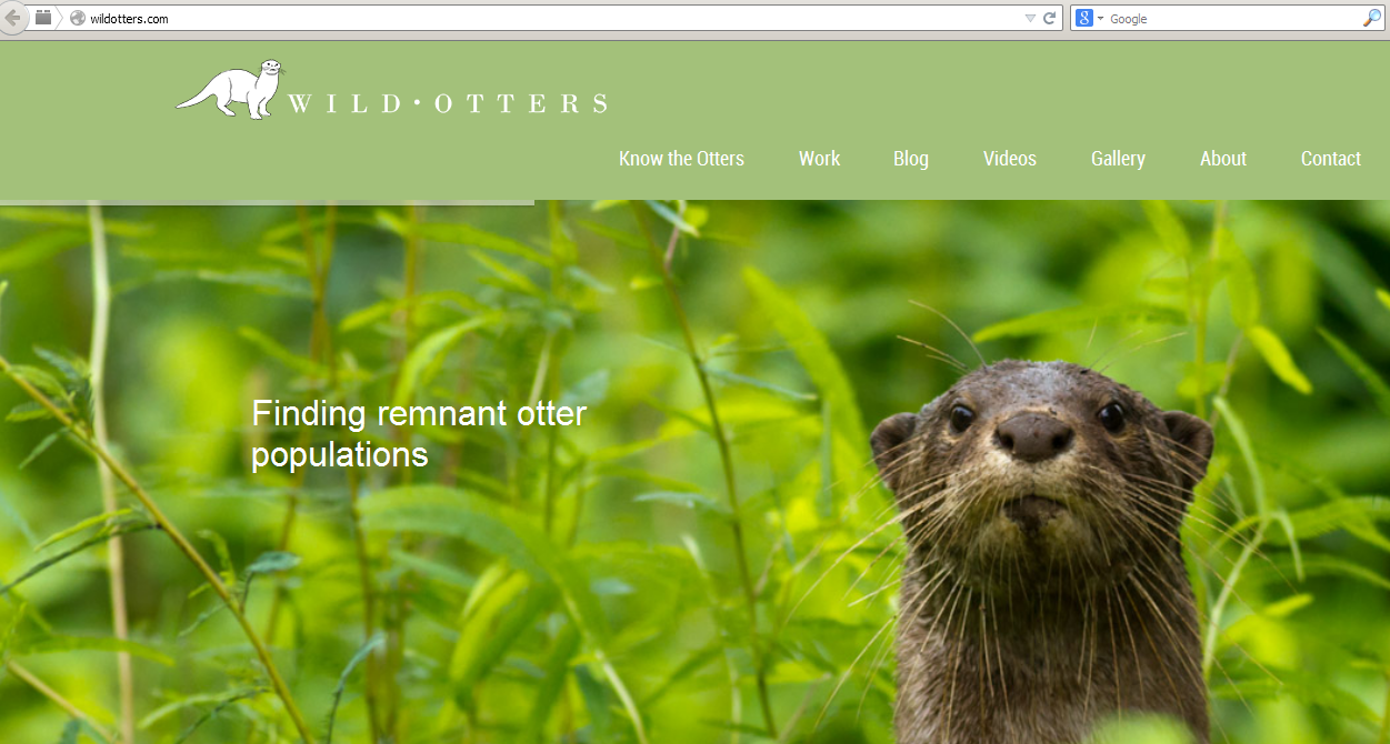 Sample page from the Wild Otters 
website