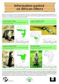 Front page of African Otters Leaflet