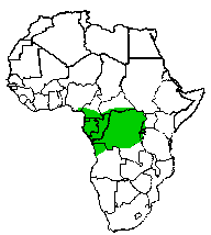 Map of Africa showing species found in Congo Basin and central African rainforest